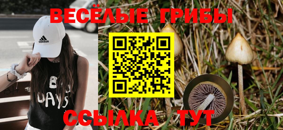 Галлюциногенные грибы MAGIC MUSHROOMS Лабытнанги