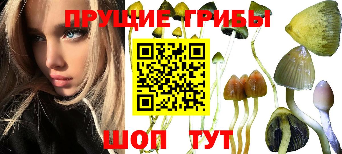 Галлюциногенные грибы Magic Shrooms  Галлюциногенные грибы Psilocybe  Лабытнанги  Вход с VPN 